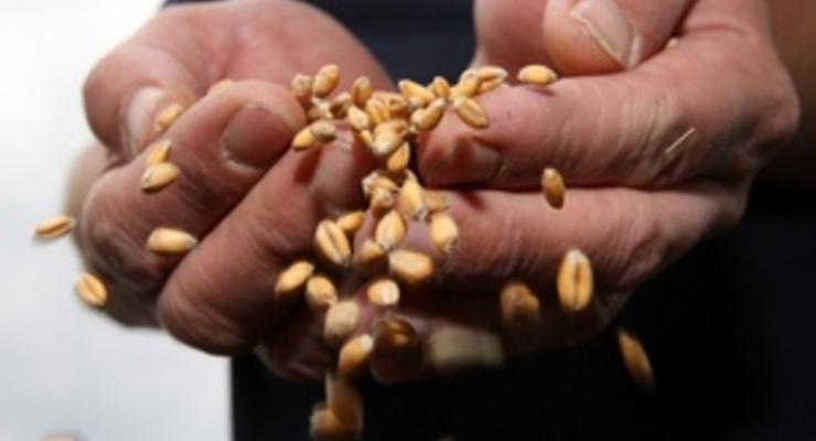 Украинские аграрии прорицают рекордный для страны экспорт зерновых