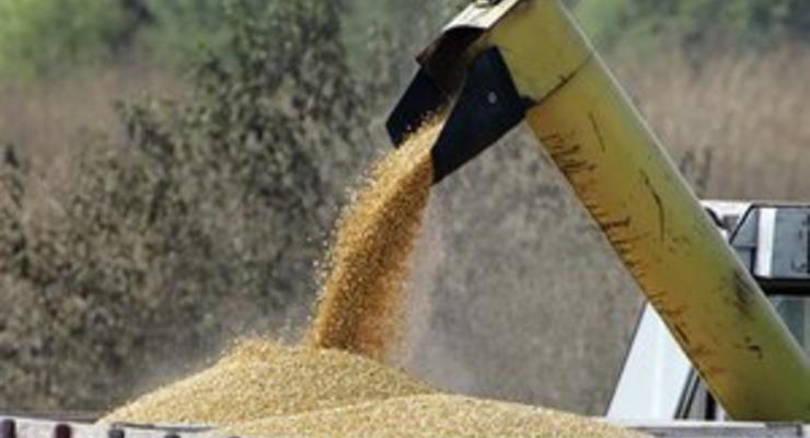 Стремясь обрести лидерство по экспорту зерна, Украина нацелилась на агрессивную политику на мировом рынке
