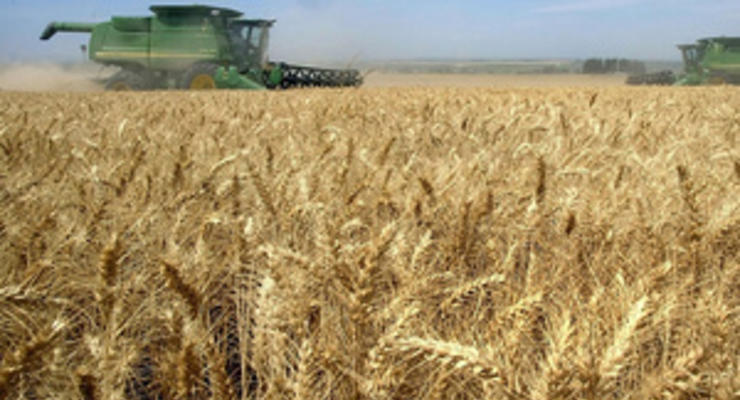 Украине на заметку: цены на зерно в мире упали почти на четверть