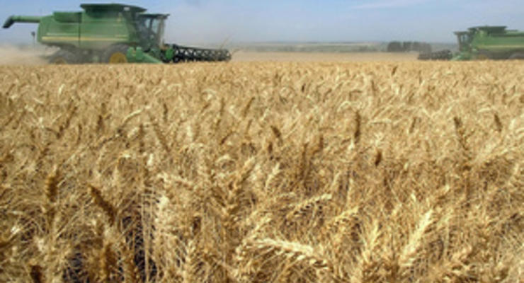 Урожайность зерновых в Украине в разы ниже европейских показателей - Ъ