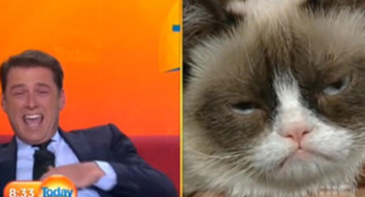 Сердитый котик дал эксклюзивное интервью телеканалу Австралии