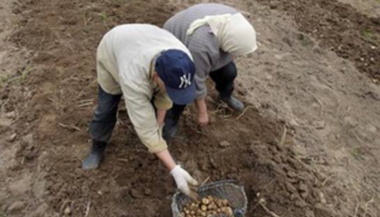 С ноября украинцам разрешили по-новому регистрировать права на недвижимость