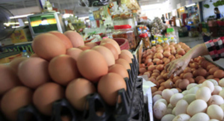 Один из крупнейших производителей яиц в Украине в первом полугодии потерял более 40% прибыли