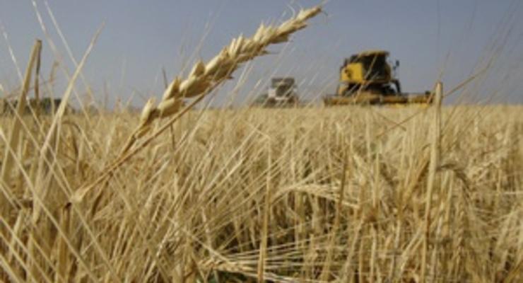 Конкуренция со стороны Украины может вынудить Россию сократить экспорт зерна