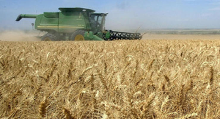 Сражающаяся с Украиной на рынке зерна Россия в 13 раз нарастила закупки пшеницы за рубежом