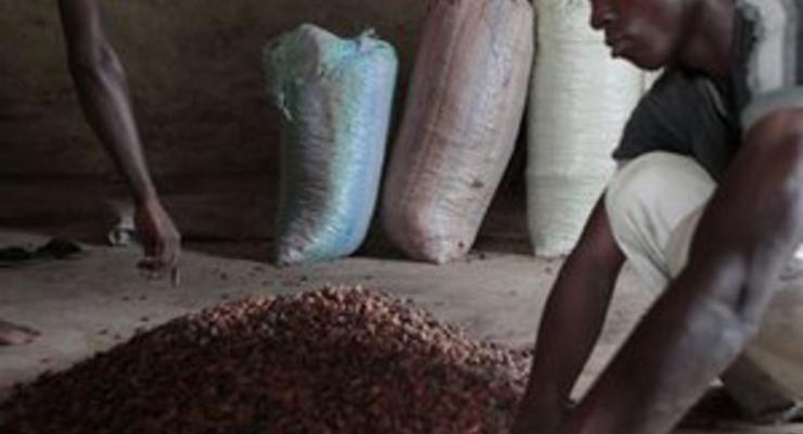На всех не хватит. Мировой спрос на какао превысит предложение