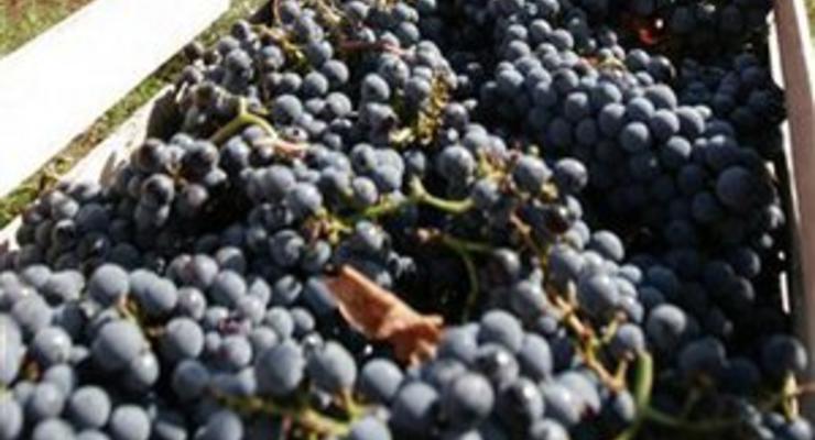 После российского эмбарго ЕС открывает свой рынок для молдавского вина, не дожидаясь сделки по ЗСТ