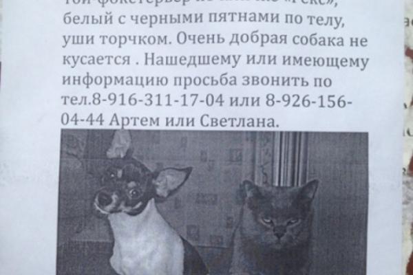 Лучшая реклама месяца: подборка народного творчества
