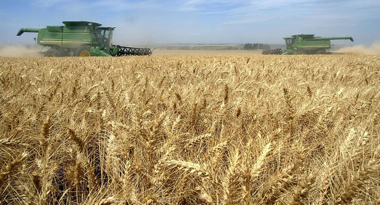 ЕС пообещал в случае создания ЗСТ распахнуть свои рынки для украинских аграриев  - Forbes