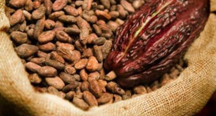 Мировые цены на какао падают, на фоне низкого качества продукции