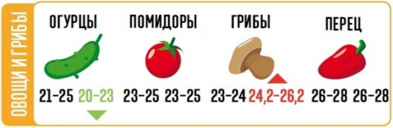 Лютый месяц. В феврале резко подорожают продукты (ИНФОГРАФИКА) / vesti.ua