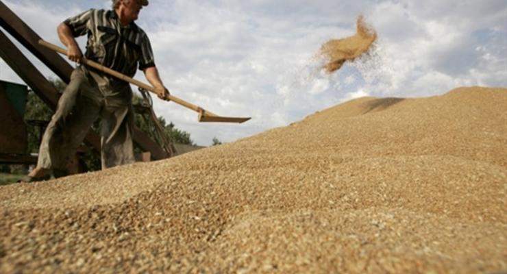 Украина увеличит экспорт зерна в страны ЕС на 46% - Минагрополитики