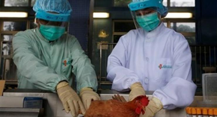 В Японии зафиксирована вспышка птичьего гриппа