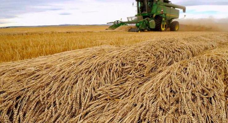 Всемирный банк: Украинский кризис поднял цены на пшеницу и кукурузу