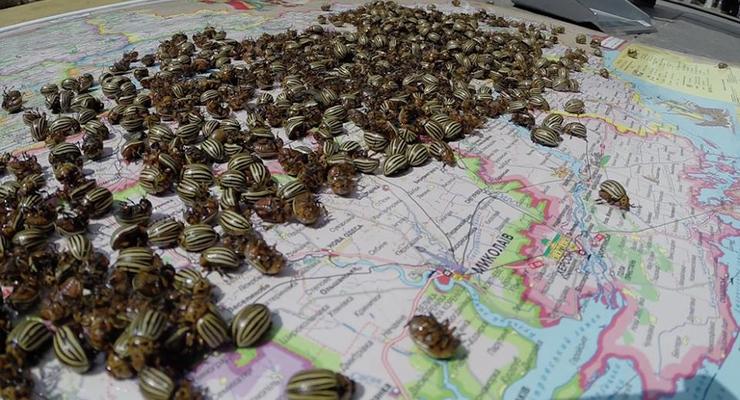 Российские товары в Полтаве хотят маркировать "колорадскими жуками"