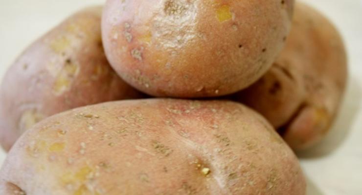 Беларусь вслед за Россией ограничила ввоз украинского картофеля