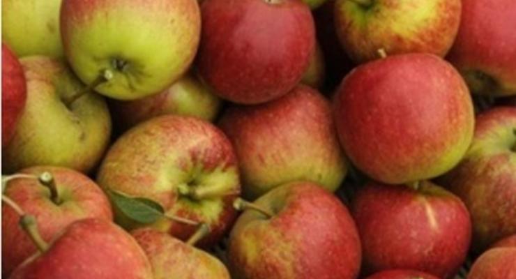 Поляки просят США закупить "запрещенные" Россией яблоки