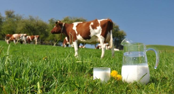 Власти Крыма просят РФ разрешить украинское молоко