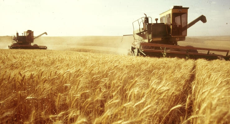 США повысили прогноз урожая зерновых в Украине
