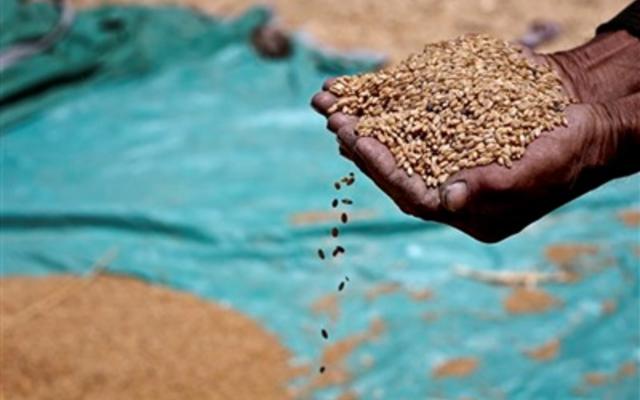 Экспорт сельхозпродукции из Украины в Россию снизился почти на треть