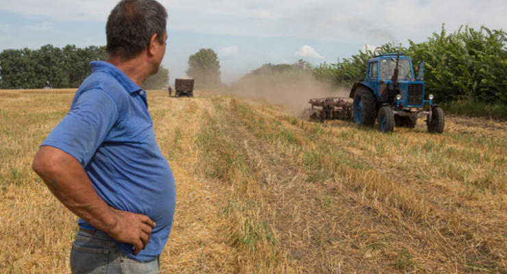 Аграрные компании Украины за полгода подешевели более чем на 20%