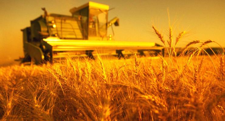 Украина за неделю экспортировала свыше миллиона тонн зерна