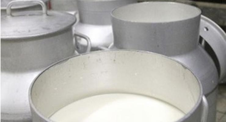 Россия сократила импорт молока в четыре раза из-за санкций