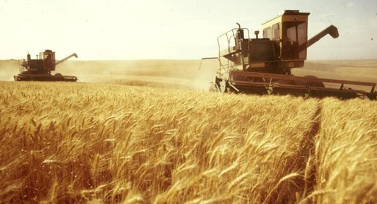 Крымское зерно продается на экспорт как украинское