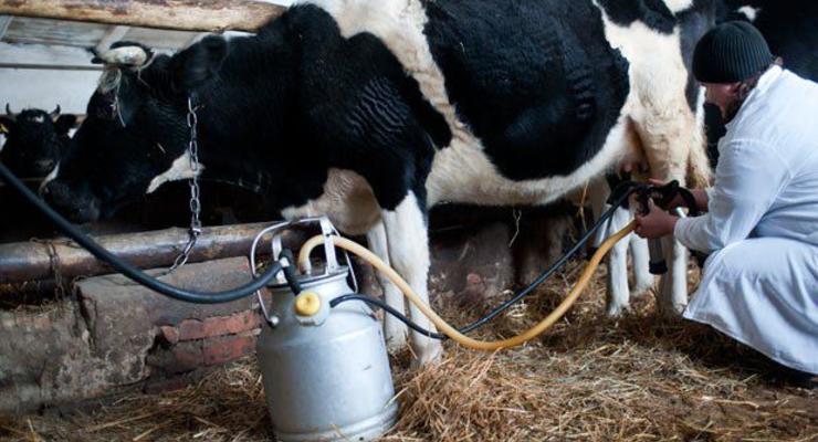 Запрет на торговлю домашними молоком, творогом и мясом решили отменить