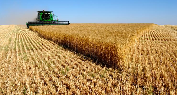 Украинская пшеница заменит российскую на рынке - США