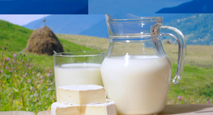 Россия разрешила ввоз "молочки" двух украинских предприятий