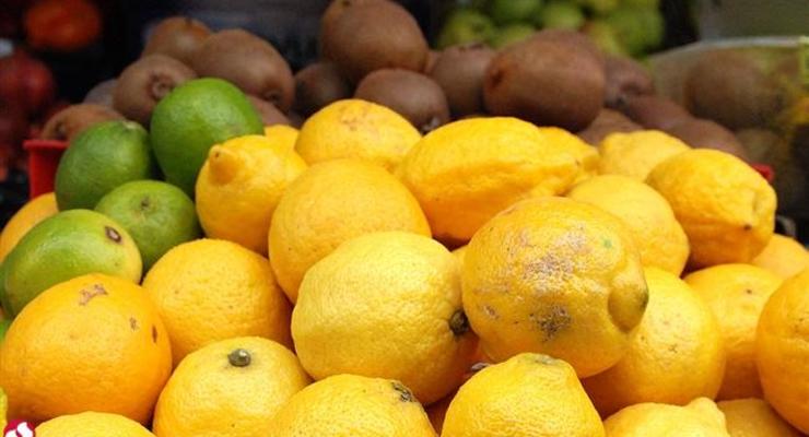Турция поставляет фрукты в оккупированный Крым