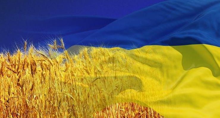 ЕC или Китай: куда бежать украинским аграриям