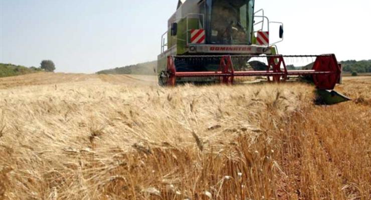 В Украине намолочено 57,1 млн тонн зерна