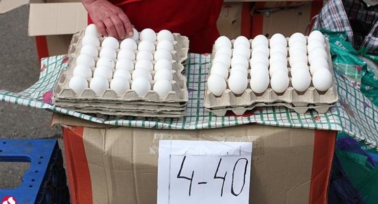 Израиль приостановил импорт яиц из Украины из-за сальмонеллы