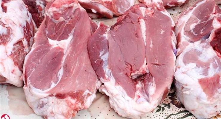 Украина открыла для Канады рынок мяса