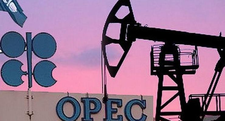 ОПЕК намерен увеличить долю в мировом производстве нефти