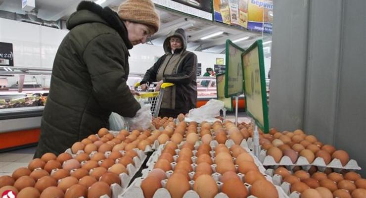 Украина может начать экспорт яиц в ЕС уже в апреле - МЭРТ