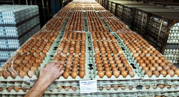 Израиль решил возобновить импорт яиц из Украины