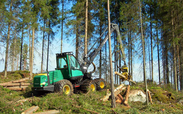 Лесные хозяйства на юго-востоке Украины могут прекратить работу