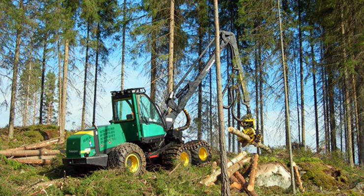 Лесные хозяйства на юго-востоке Украины могут прекратить работу