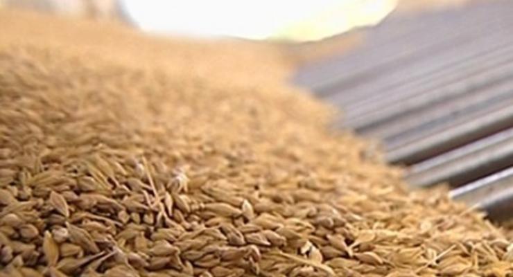 Стало известно, сколько пшеницы экспортировал Крым, несмотря на санкции