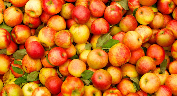 В Украине подешевели яблоки