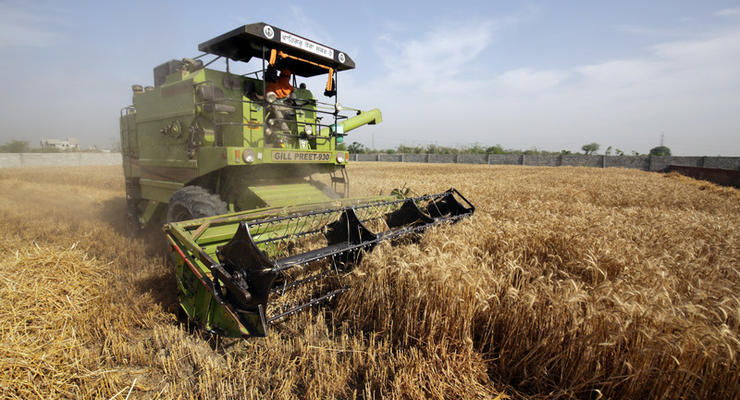 Украина исчерпала квоты на экспорт пшеницы в Евросоюз