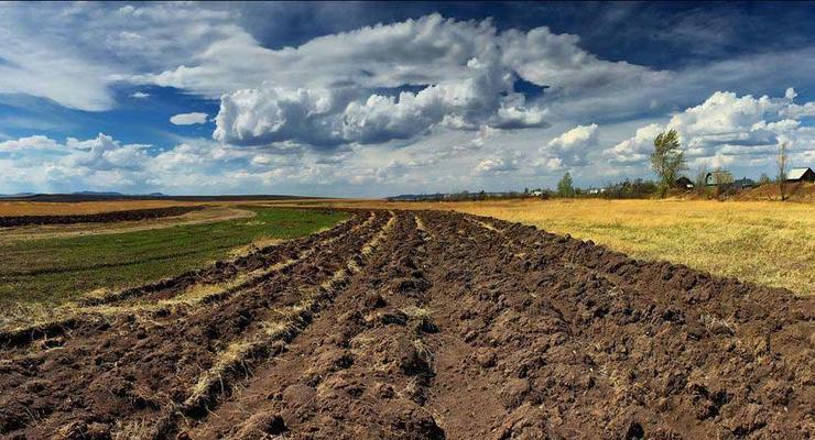 Министр агрополитики предлагает разрешить фермерам перепродавать права на аренду земли