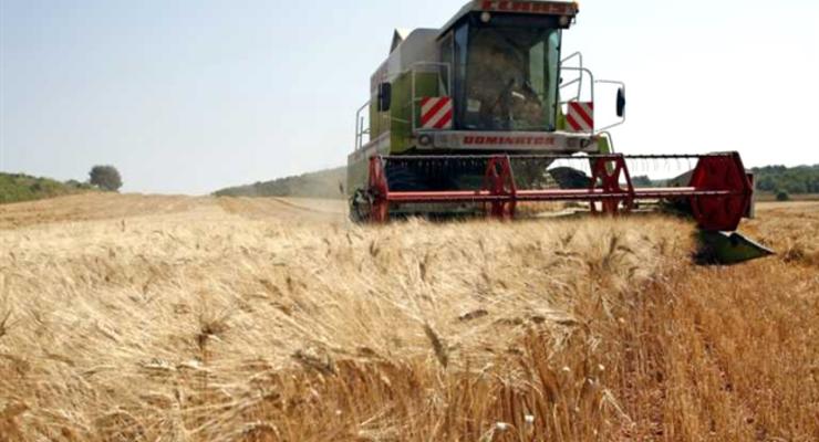 Китайский фактор: Кому отдадут зерновую корпорацию Украины