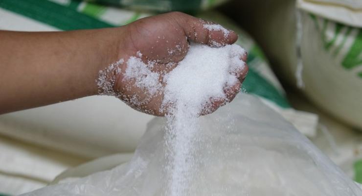 Производство сахара в Украине может вырасти