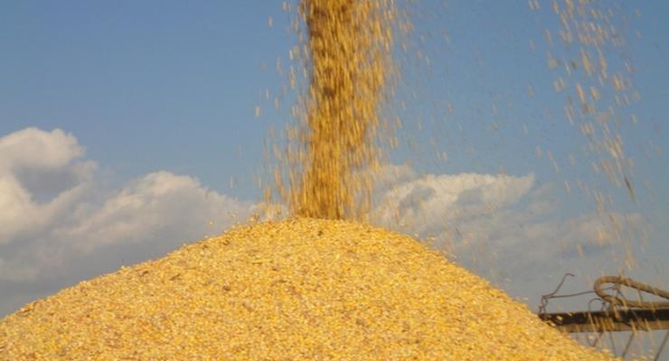 Украина может лишиться статуса крупнейшего поставщика кукурузы в Китай