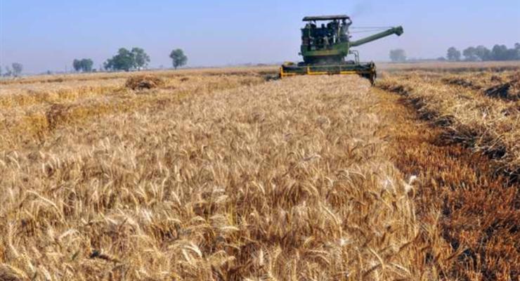 Украинские аграрии отчитались об урожае зерновых и зернобобовых