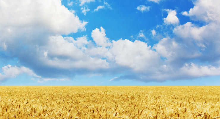 Украина с начала года экспортировала зерновых на $3 млрд